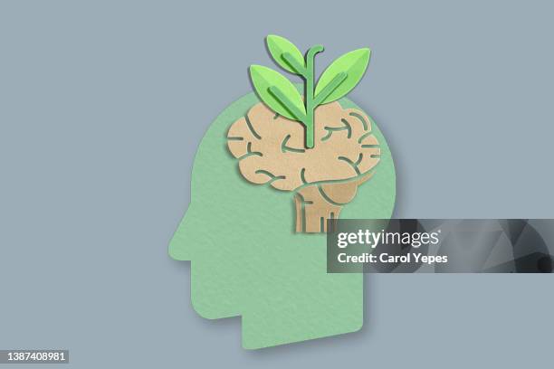 growth mindset vs fixed mindset concept in paperwork - attitude stock pictures, royalty-free photos & images