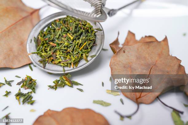 organic thyme tea infusion (decoction, herbal tea - 95 degrees celcius - 10 minutes) - celcius stock pictures, royalty-free photos & images