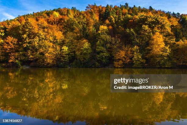 autumn morning at lake thal near graz, styria region, austria - thal austria stock pictures, royalty-free photos & images