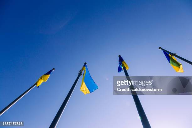 ukraine flags flying in the wind against blue sky - ukraine war stockfoto's en -beelden