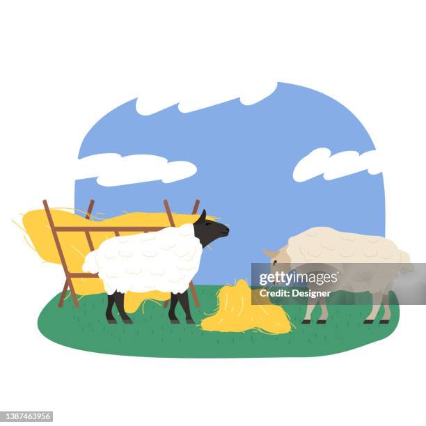 stock farming konzept vektorillustration - schäferei stock-grafiken, -clipart, -cartoons und -symbole