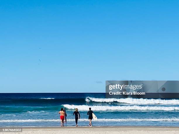 3 surfers looking out to waves - surf wave stock pictures, royalty-free photos & images