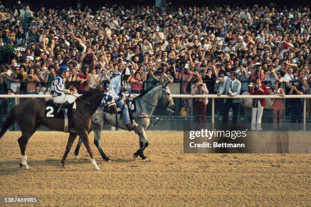 Canadian jockey Ron Turcotte riding Secretariat in the Belmont Stakes at Belmont Park in Elmont, New York, 9th June 1973. Other runners and riders.