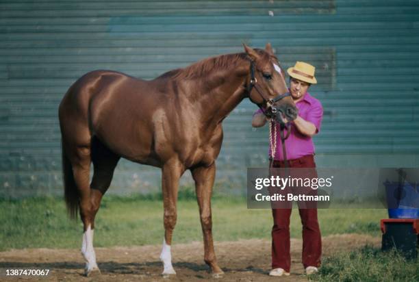 Stablehand with Secretariat ahead of the Belmont Stakes at Belmont Park in Elmont, New York, 6th June 1973. After winning the Belmont Stakes,...