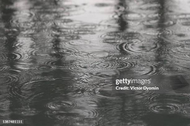 closeup view of the raindrops on the pond that create beautiful patterns on the water. - novembre foto e immagini stock