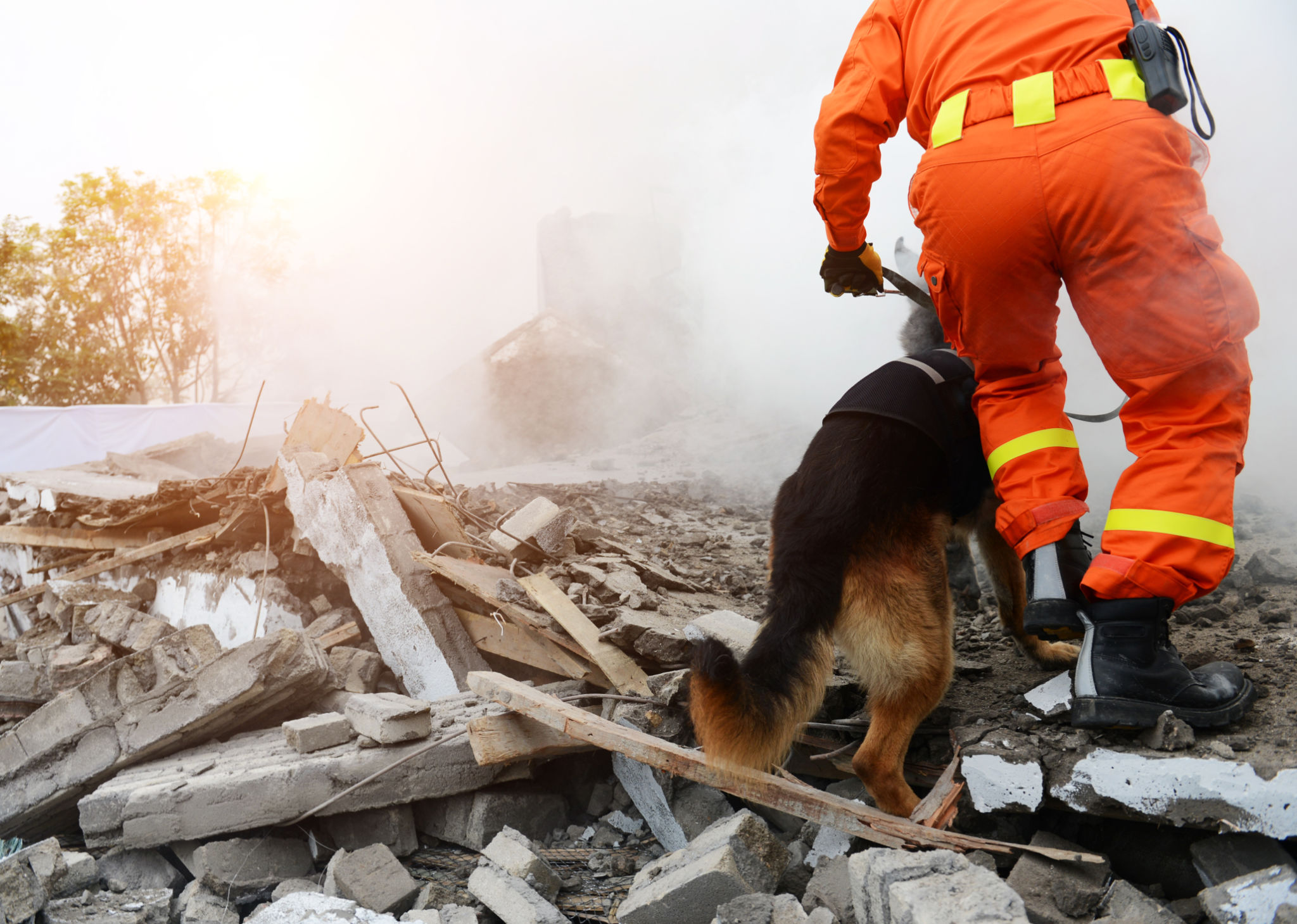 search rescue