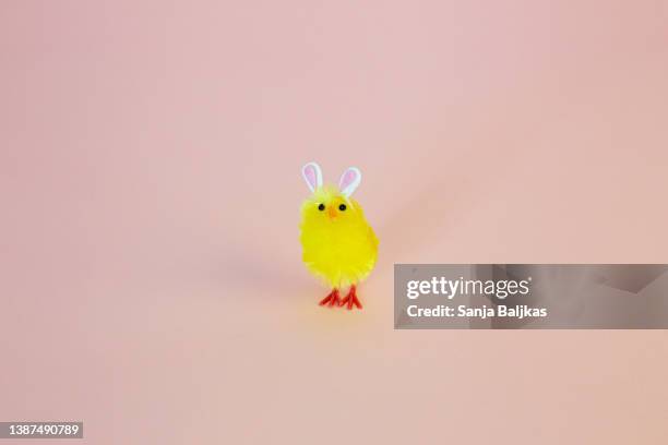 funny easter chicken - chicken decoration stock-fotos und bilder