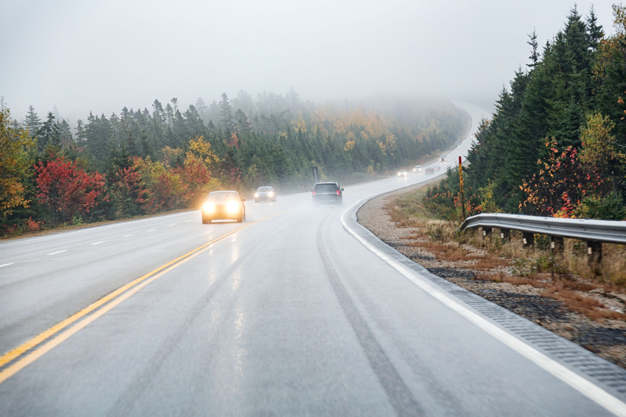 autumn drive
