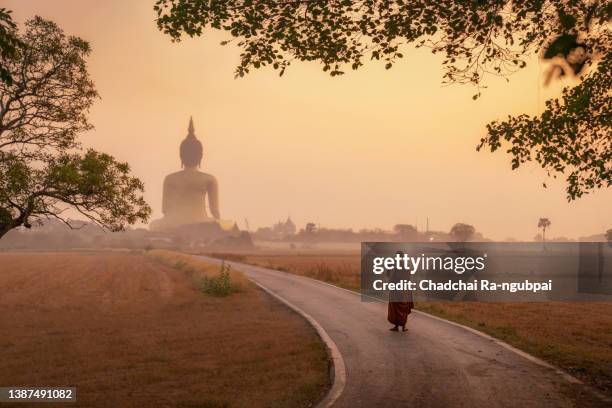 asia monk walking dhutanga behind big buddha at wat muang angthong, temple thailand in sunrise. - sukhothai foto e immagini stock