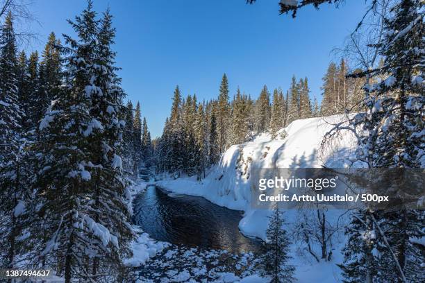 frozen waterfall,scenic view of snow covered forest against sky,puolanka,finland - arttu stock pictures, royalty-free photos & images