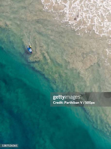 top- down view of a person alone trying to surf on clear blue water,varkala,kerala,india - kerala surf stock-fotos und bilder