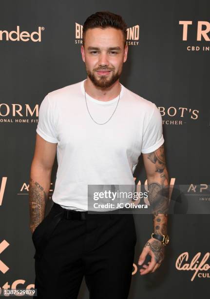Liam Payne attends Taste the Future Luncheon at Four Seasons Hotel Los Angeles at Beverly Hills on March 24, 2022 in Los Angeles, California.