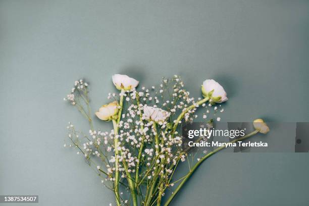 bright background with beautiful ranunculus flowers. floral background. festive postcard. - march month stock pictures, royalty-free photos & images