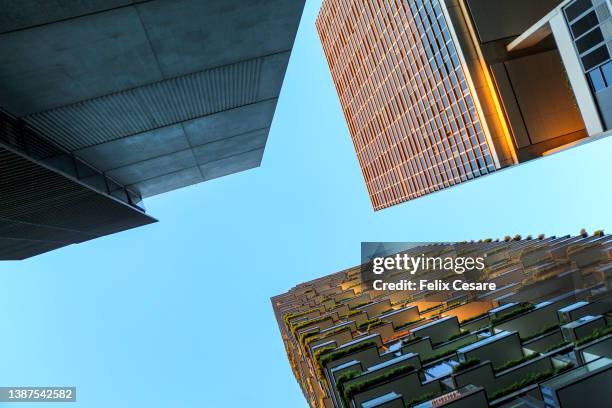 green plants in the balconies of a high rise building. - apartments australia stock pictures, royalty-free photos & images