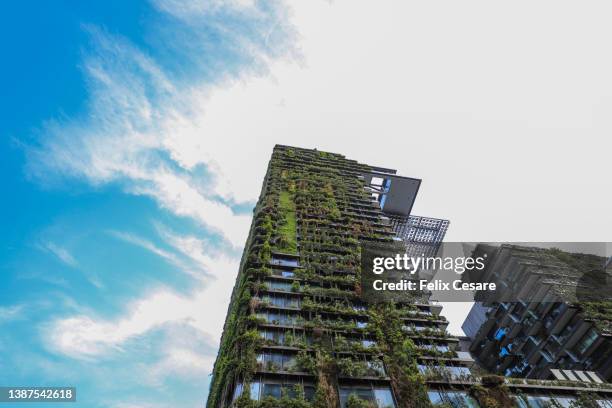 green plants in the balconies of a high rise building. - eco house stock pictures, royalty-free photos & images