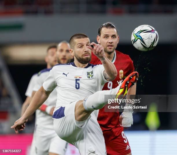 Matija Nastasic of Serbia fights for the ball with Adam Szalai of Hungary during the international friendly match between Hungary and Serbia at...