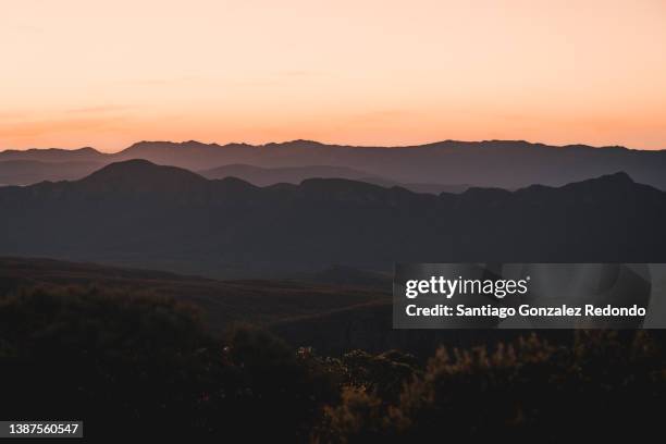 golden hour in the grampians national park. - melbourne parkland stock pictures, royalty-free photos & images