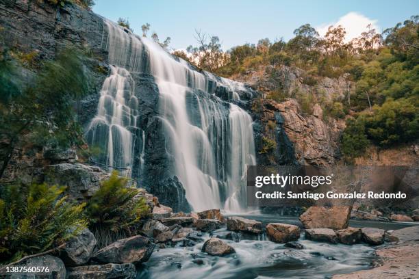 mackenzie falls in the grampians national park - cascada fotografías e imágenes de stock