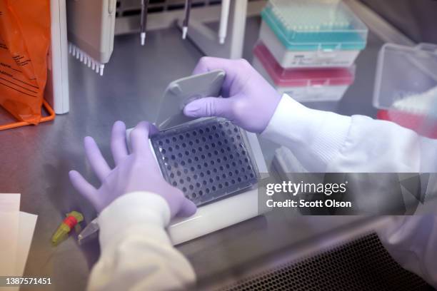 Microbiologist Anne Vandenburg-Carroll tests poultry samples collected from a farm located in a control area for the presence of avian influenza, or...