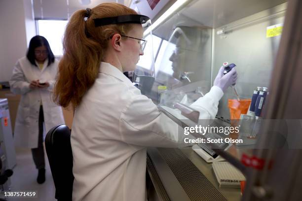 Microbiologist Anne Vandenburg-Carroll tests poultry samples collected from a farm located in a control area for the presence of avian influenza, or...