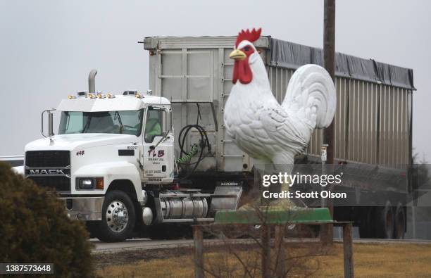 Truck drives out the entrance of the Cold Springs Eggs Farm where the presence of avian influenza was reported to be discovered, forcing the...