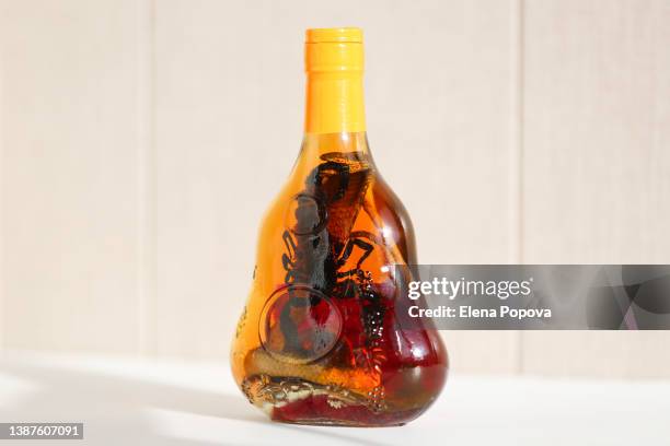 medical alcohol drink. snake and scorpion bite each other inside a bottle - sunbeam snake stock pictures, royalty-free photos & images