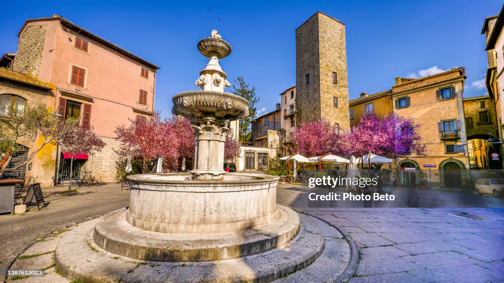 A beautiful square with flowering trees in the heart of the Etruscan and medieval city of Viterbo in central Italy