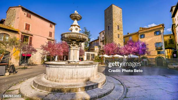 a beautiful square with flowering trees in the heart of the etruscan and medieval city of viterbo in central italy - provinsen viterbo bildbanksfoton och bilder
