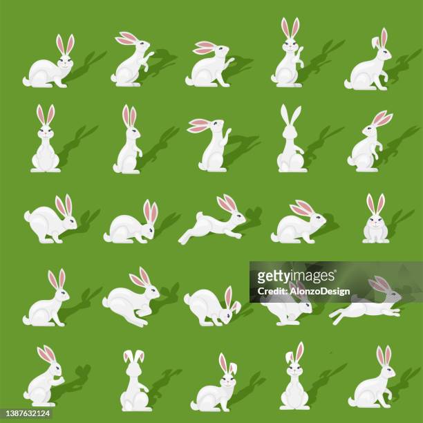 illustrations, cliparts, dessins animés et icônes de icônes de lapins - sauter