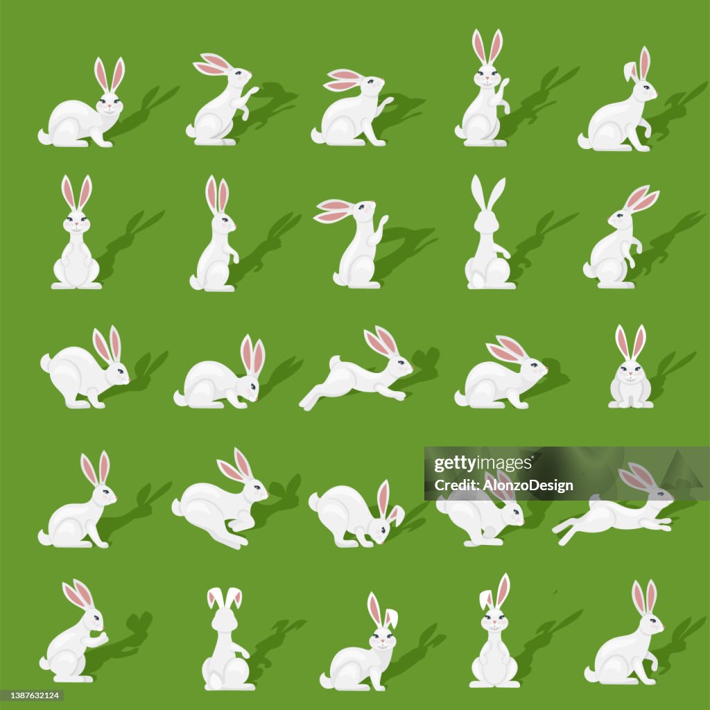 Rabbits Icons