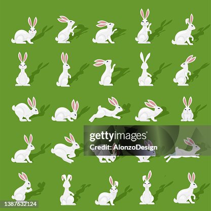 Rabbits Icons Rabbits Icons