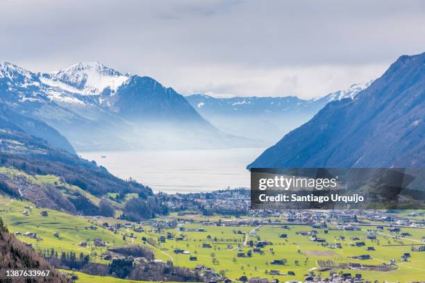 town of ingenbohl on the shore of lake lucerne - schwyz stock pictures, royalty-free photos & images