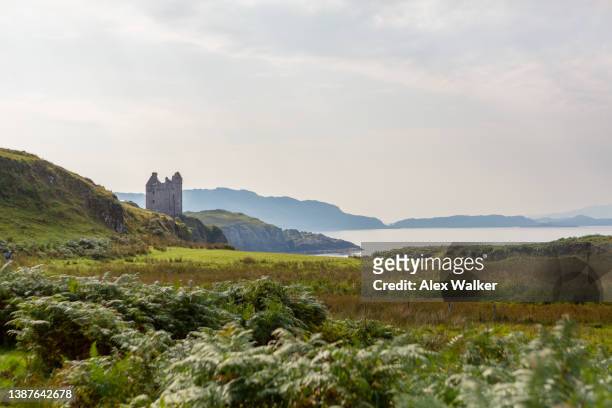 ruined scottish castle (gylen castle) with viewpoint over the coastline on a calm summer day. - grass looking distance stock-fotos und bilder
