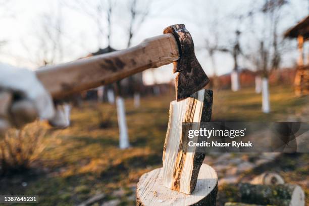 close up view of chopping the log in the countryside - houtstapel stockfoto's en -beelden