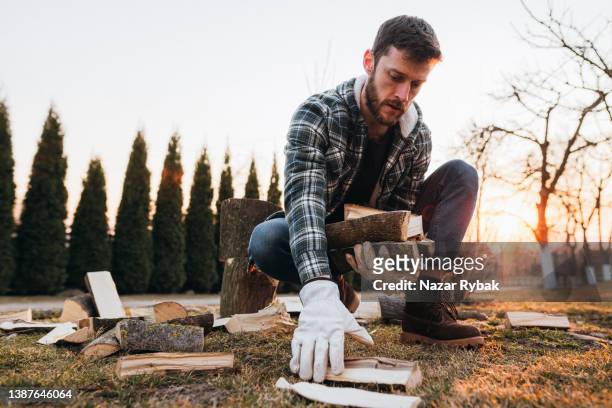 der mann sammelt brennholz in der hand vom boden - pflanzenbestandteile stock-fotos und bilder