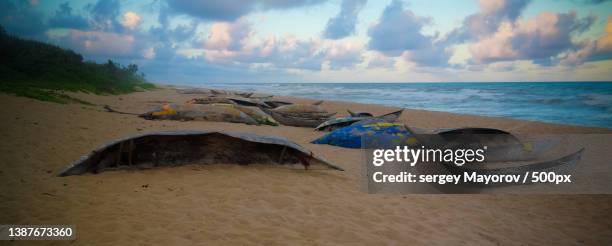 fishermans boats indian ocean,brickaville,atsinanana,madagascar,panoramic view of beach against sky - piroga stock pictures, royalty-free photos & images