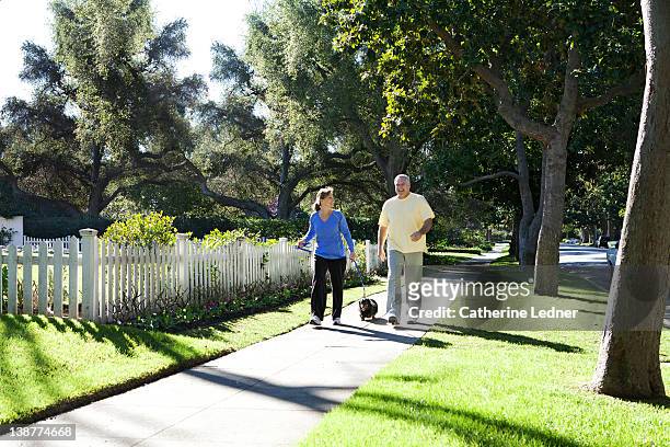 couple walking dog on sidewalk in suburbs - pasadena california stock pictures, royalty-free photos & images