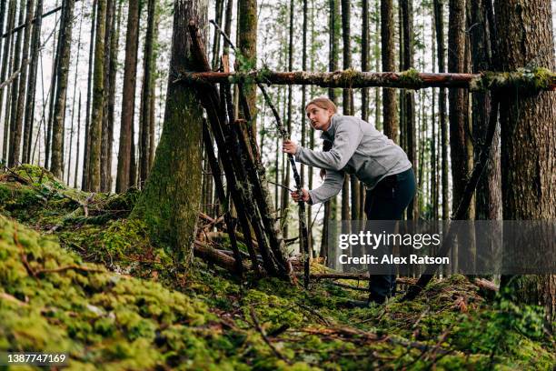 a woman places logs onto a survival shelter in a lush rainforest - windbreak stock pictures, royalty-free photos & images