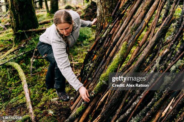 a woman places logs onto a survival shelter in a lush rainforest - cortina rompeviento fotografías e imágenes de stock