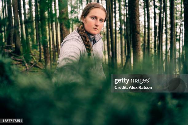 a woman places green tree branches on the roof of an improvised survival shelter - makeshift shelter stock pictures, royalty-free photos & images