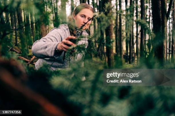 a woman places green tree branches on the roof of an improvised survival shelter - makeshift shelter stock pictures, royalty-free photos & images