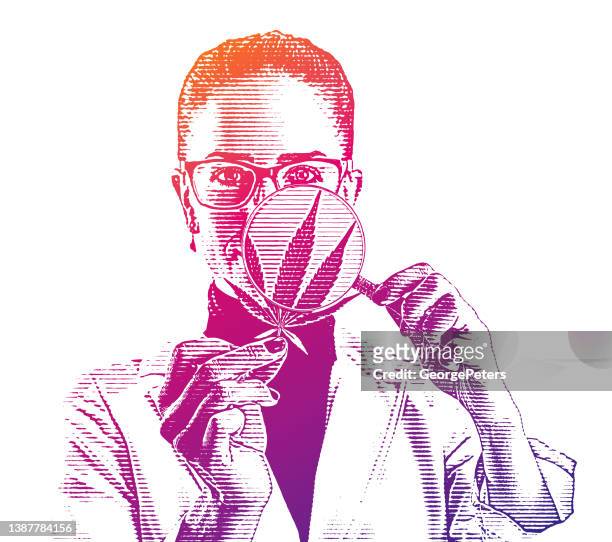 woman lab technician analyzing hemp leaf - cannabis oil stock illustrations
