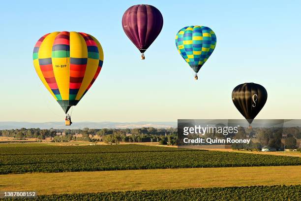 Hot Air Balloons fly over Milawa on March 26, 2022 in Wangaratta, Australia. The King Valley Balloon Fiesta runs from 25 to 27 March. This year the...