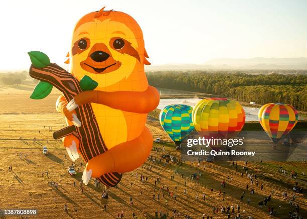 Hot Air Balloons take flight from Brown Brothers Milawa Airfield on March 26, 2022 in Wangaratta, Australia. The King Valley Balloon Fiesta runs from...