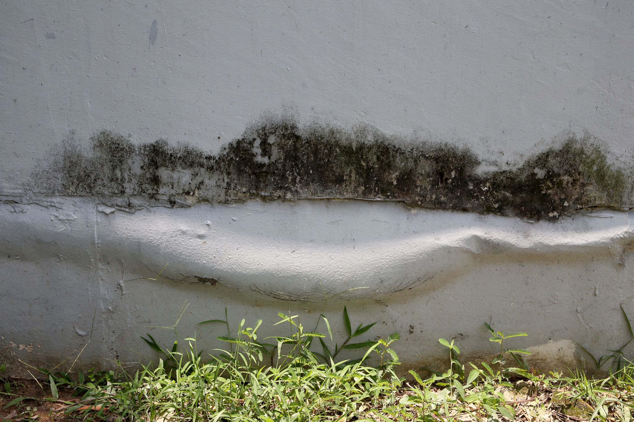 humid crawlspace