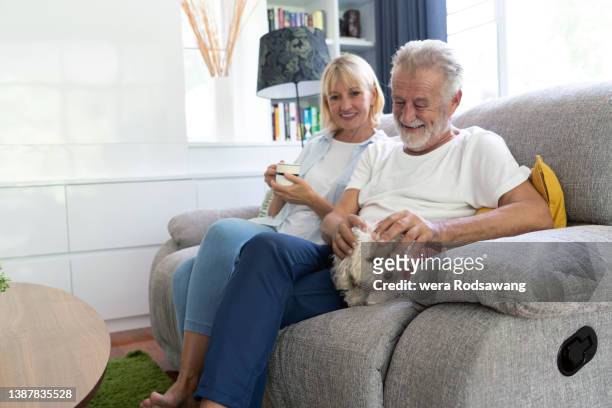 senior couple relaxing play with dog with love while sitting in living room - old man with beard 個照片及圖片檔