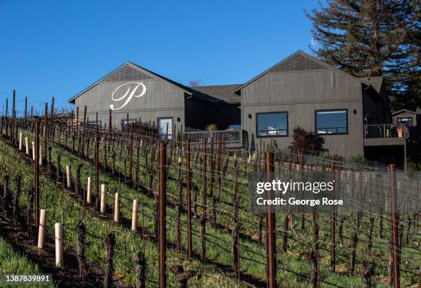 Spring in the vineyards at Passalacqua Winery is viewed on March 22 near Healdsburg, California. After record winter rainfall battered the North...