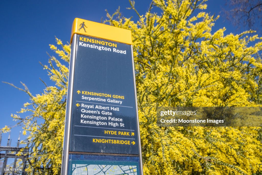 Acacia Pravissima e Footpath Sign per Kensington Gardens a Kensington, Londra