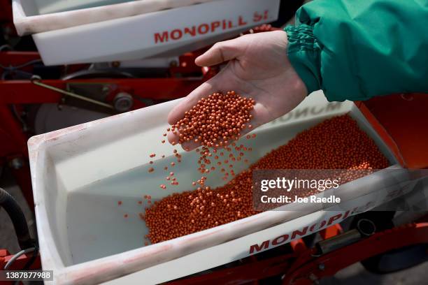 Holovanych Andrii, an agronomist with the Zahidnyi Bug Farm, helps plant sugar beet seeds on March 26, 2022 in Humnyska, Ukraine. With more than...