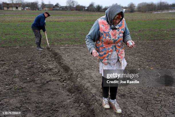 Residents plant a plot of land for their household on March 26, 2022 in Humnyska, Ukraine. With more than 150,000 square miles of agricultural land,...